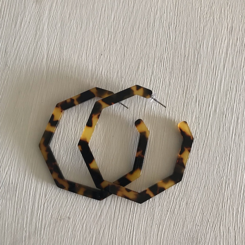 Turtle geometric hoops!